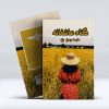 گناه عاشقانه